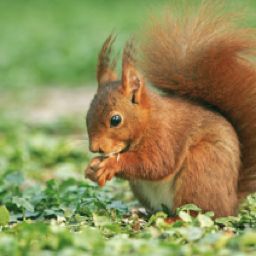 jean christophe janin