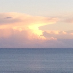 Grumpy Old Man From Hove