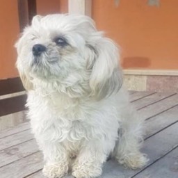 Yusuf Ümit Yıldırım