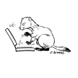 Guillaume de Tournemire